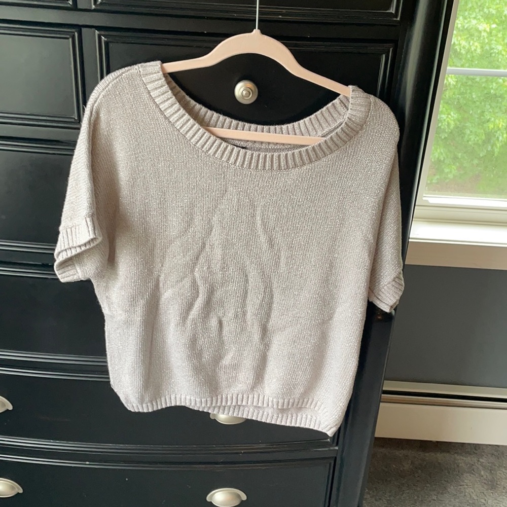 Banana republic sparkly silver knit top